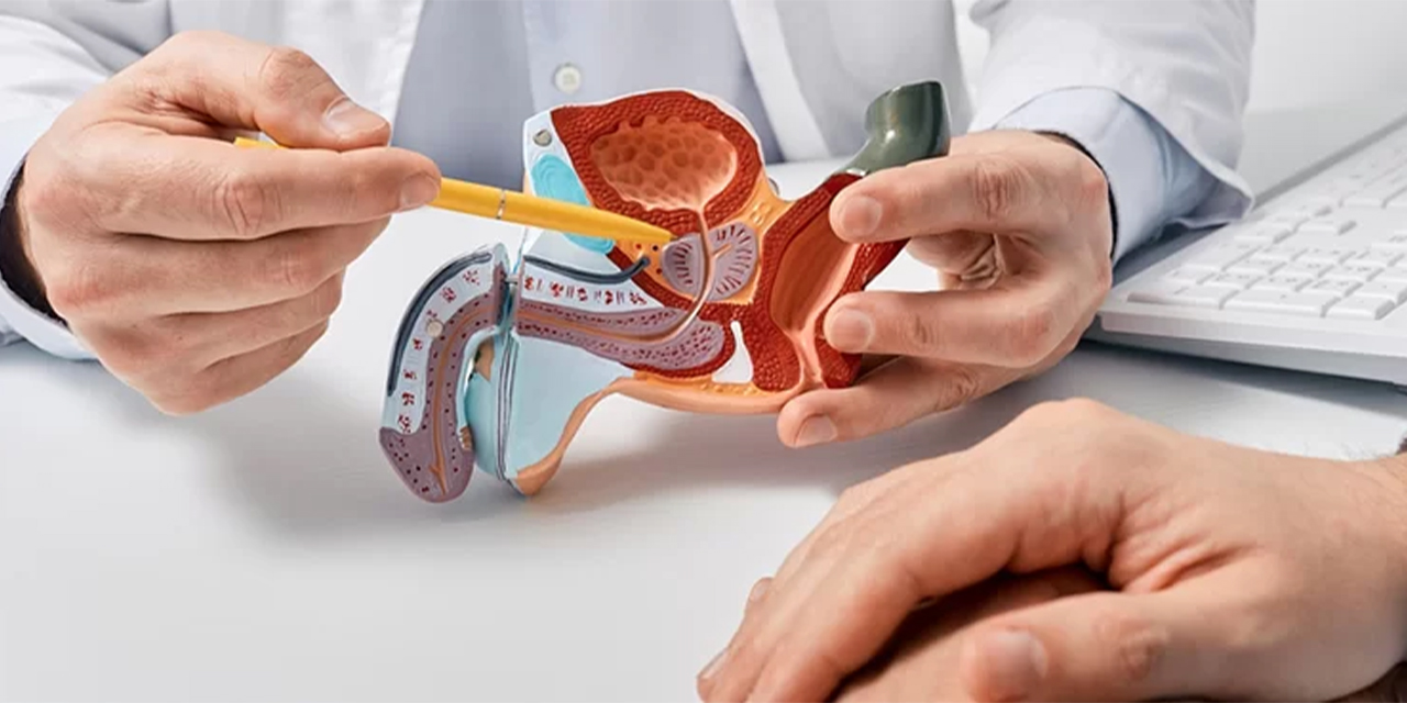 Obezite ve hipertansyion prostat kanseri riskini artırıyor