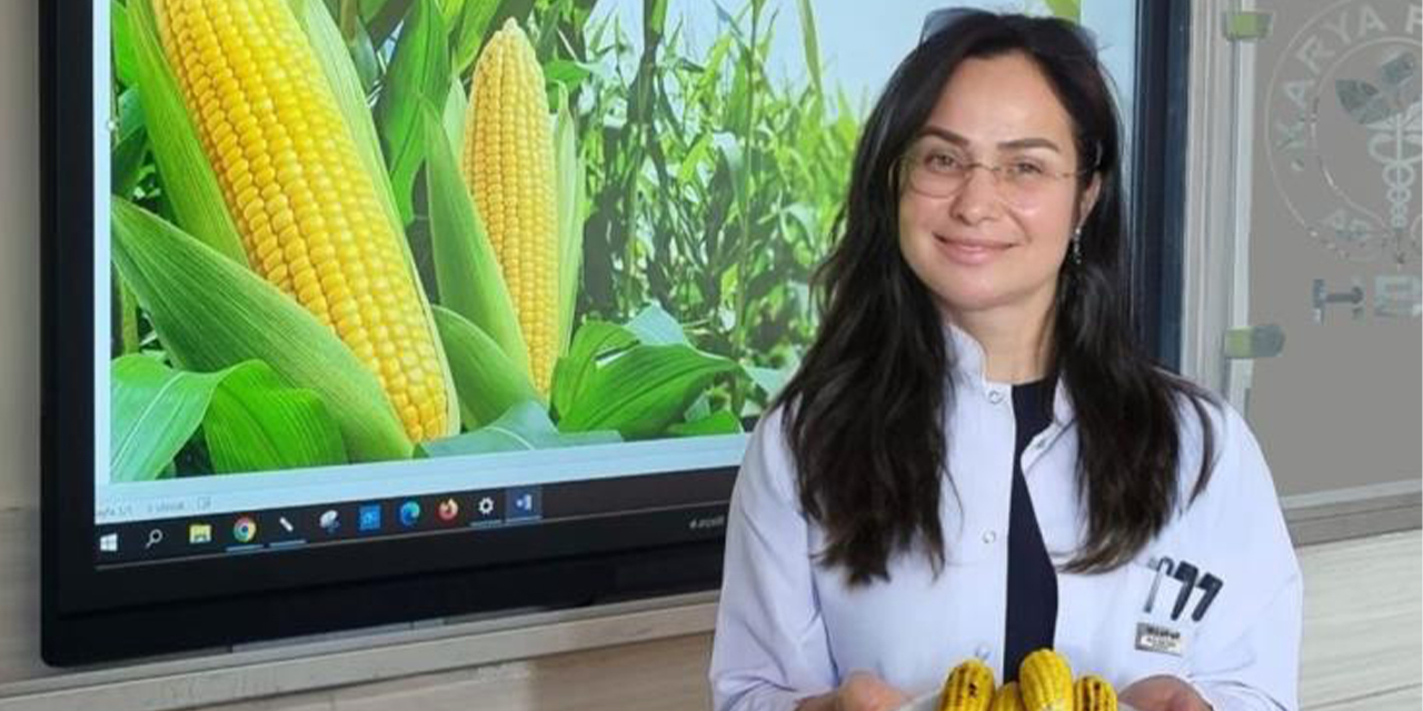 Haşlanmış ve közlenmiş mısırın ‘Mutluluk hormonu’ salgıladığı belirtildi