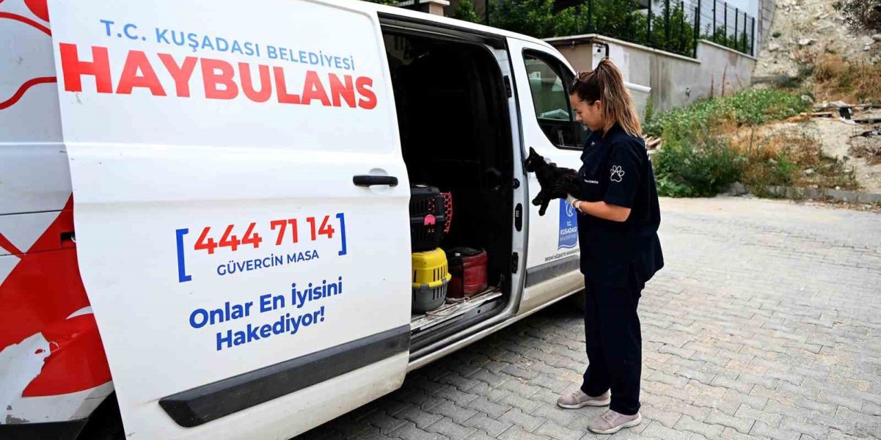Kuşadası’nda Haybulans 16 bin 614 can dostun yardımına koştu