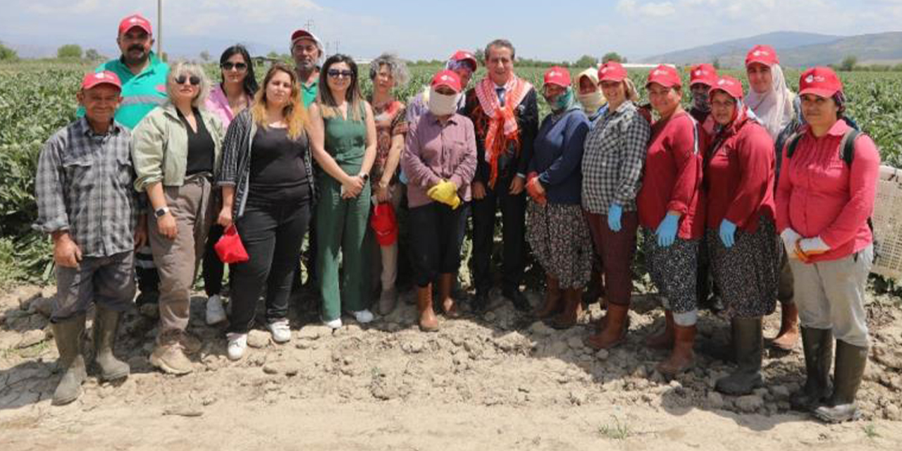 Efeler’in projeleri takdir topluyor