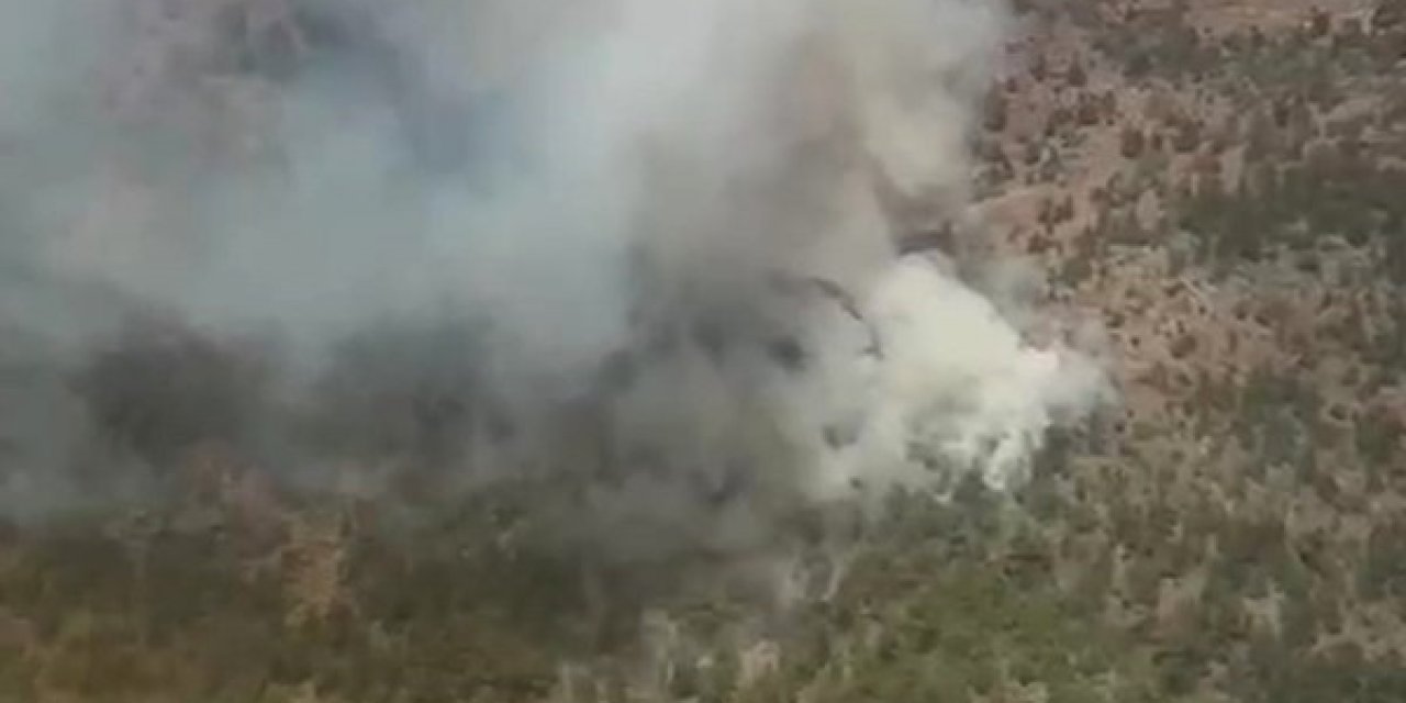 İzmir’deki orman yangınına havadan ve karadan müdahale