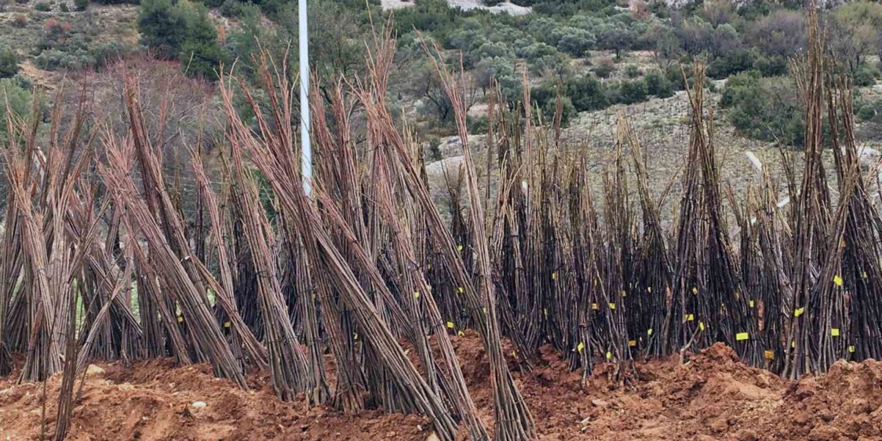 Yangında kovanları yanan arıcılara Büyükşehir’den malzeme desteği