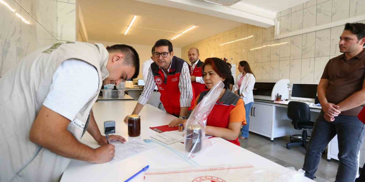 Muğla’da sahte bal denetimi