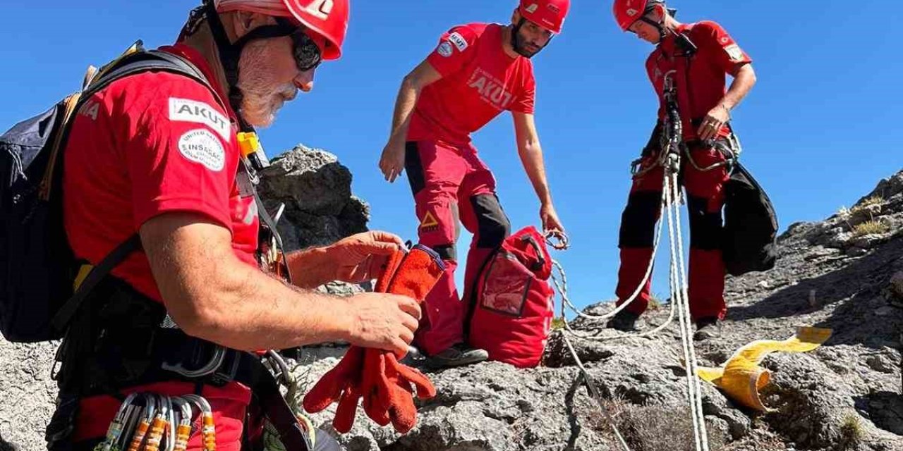Kayalıklarda mahsur kalan kediyi AKUT ekipleri kurtardı