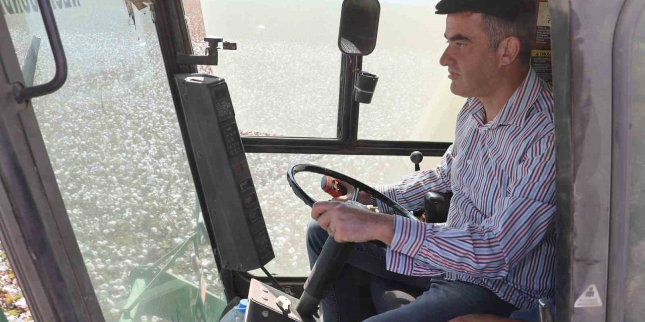 Koçarlı’da pamuk hasadı başladı