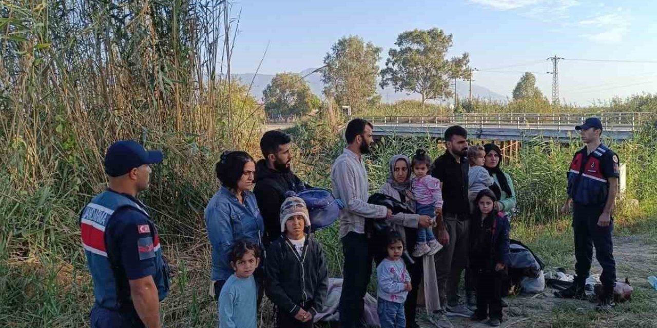 Sazlık alana gizlenen 13 düzensiz göçmen yakalandı