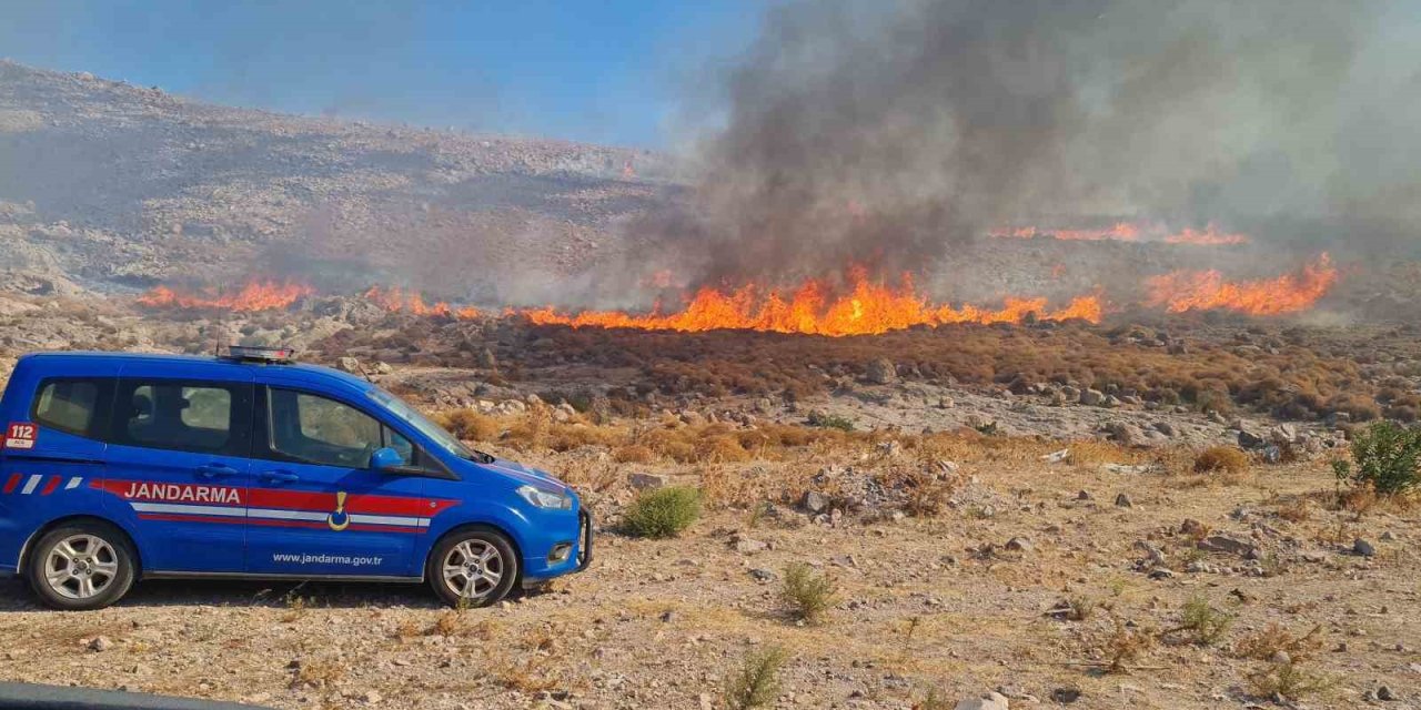 Bodrum’da otluk alanda yangın