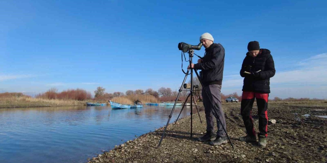 Avrupa Kuş Gözlem Günü etkinliği Fethiye’de gerçekleşecek