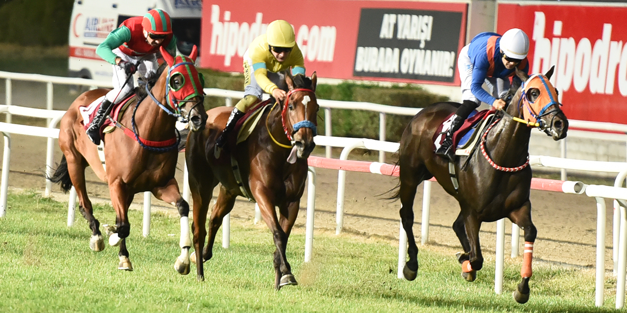 ADÜ Veteriner Fakültesi Koşusu'nu Crazy Amazon kazandı