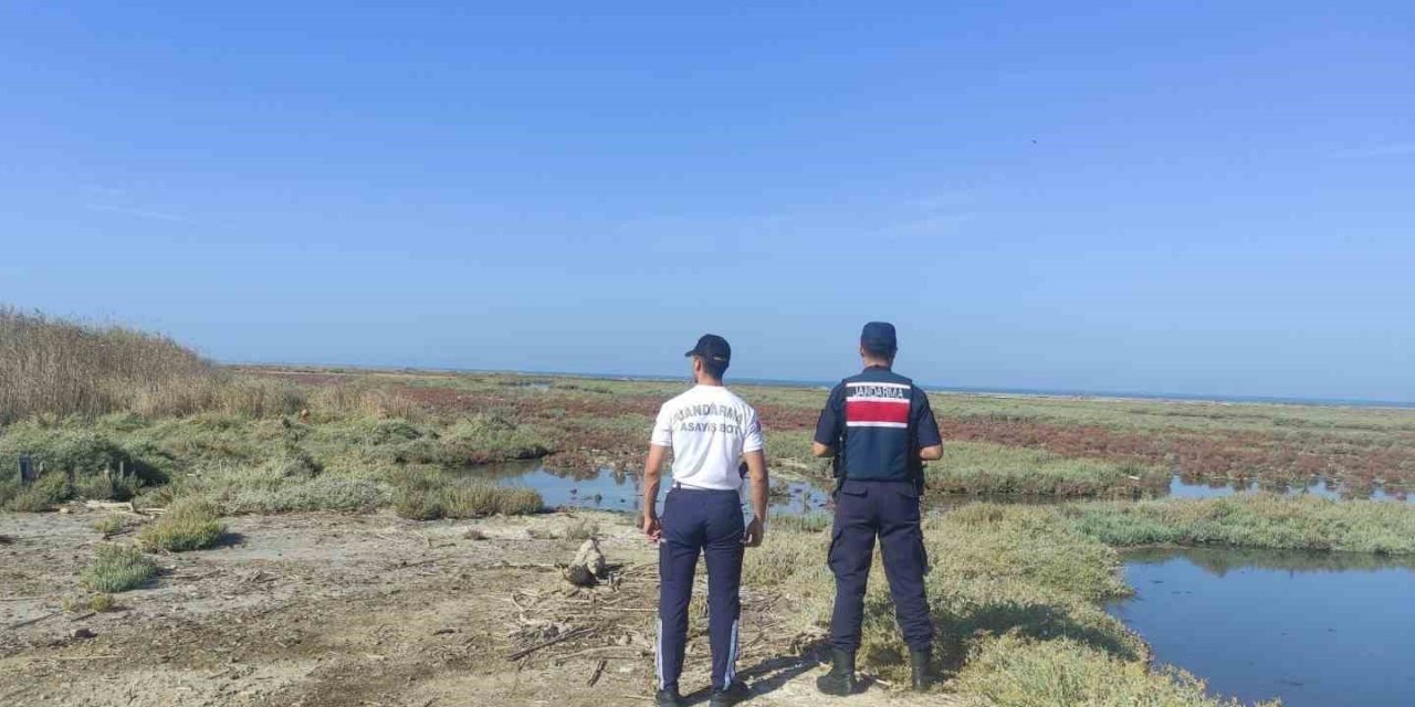 Söke’de sulak alanlarda Jandarmanın devriyesi sürüyor