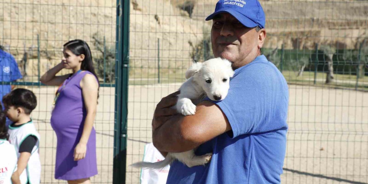 Başkan Çerçioğlu, hayvanları koruma gününde minik öğrencilere can dostlar sevgisini aşıladı