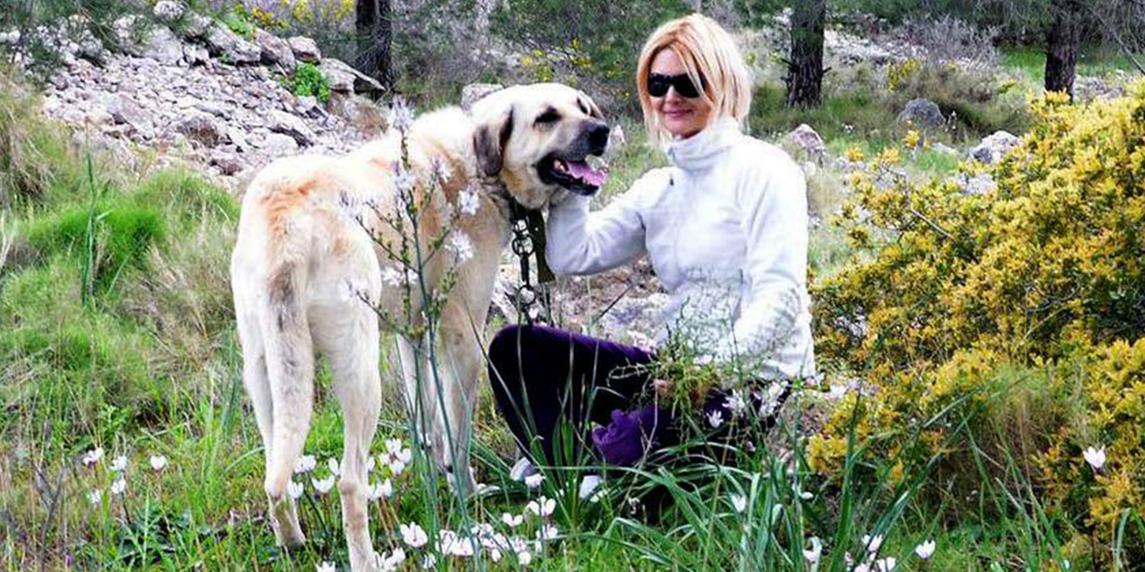 İnsanlar arasında olmak, hayvanlar arasında olmaktan daha tehlikeli