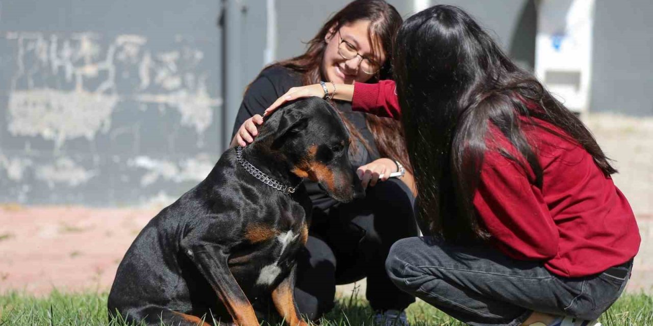 Aliağalı öğrencilerden Pati Park’a ziyaret