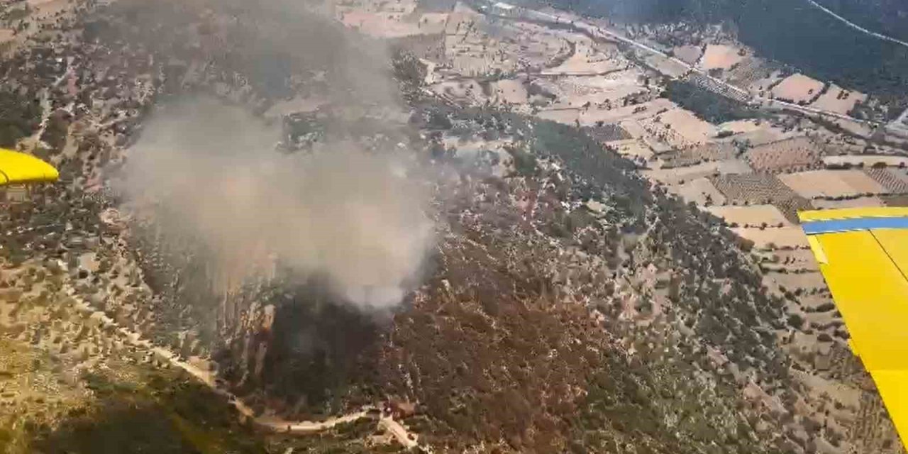 Seydikemer’de orman yangını