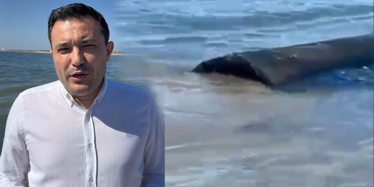 “Klasik CHP performansı: Didim’de kanalizasyon denize dökülüyor!”