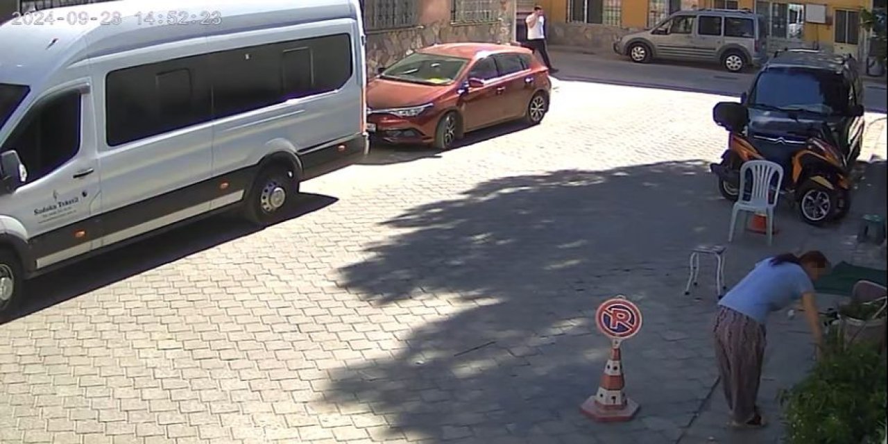 Gözüne kestirdiği çiçeği kökleriyle götürdü