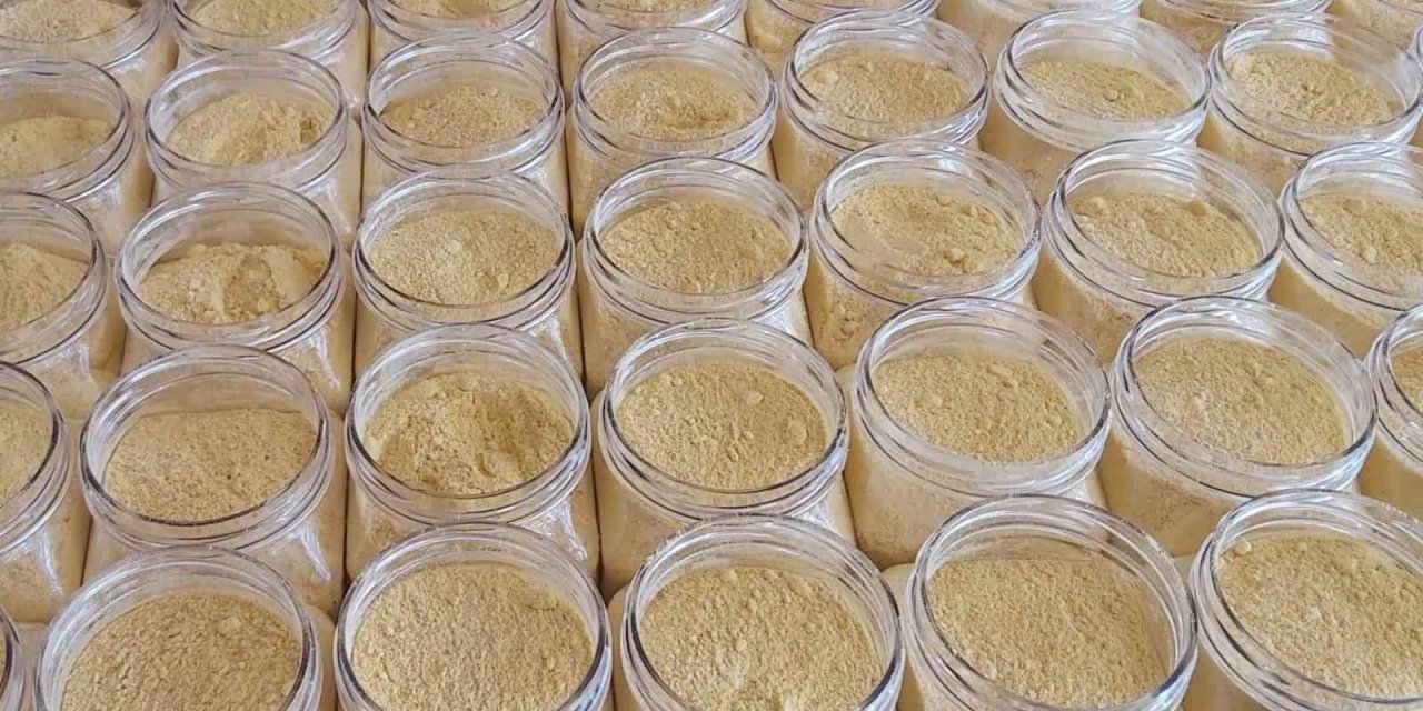 Aydın’da, kuraklık ve kıtlığa karşı çalışma yapan bir araştırma firması kabak unu üretti