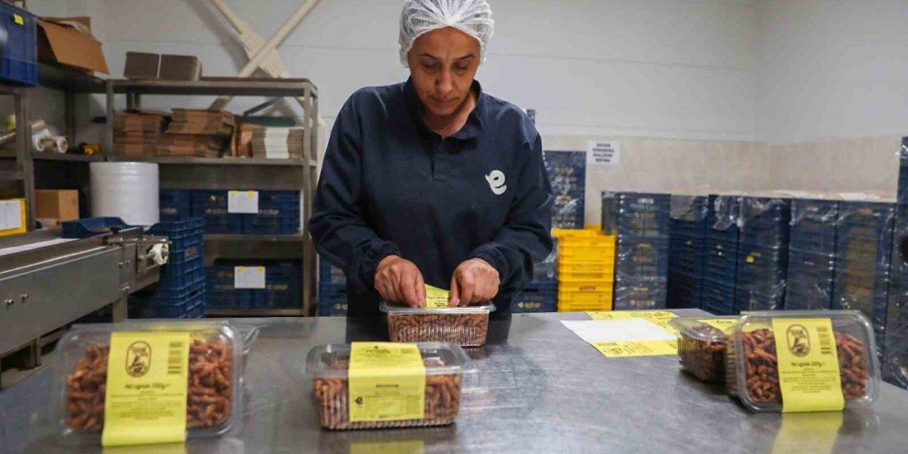 Efeler Belediyesi’nin Kadın Emeği Tarımsal Ürün Fabrikası markalaştı