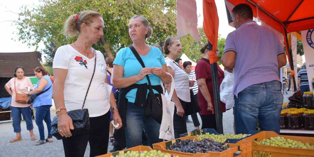 Didim Zeytin Festivali başladı