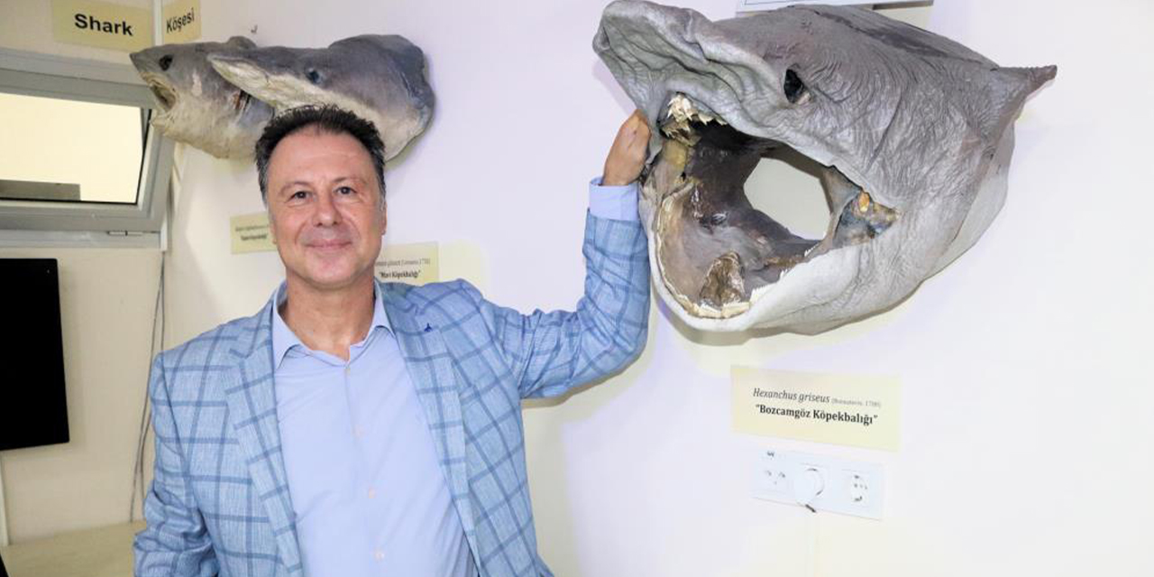 Denizlerdeki 400 farklı canlı türü sergileniyor