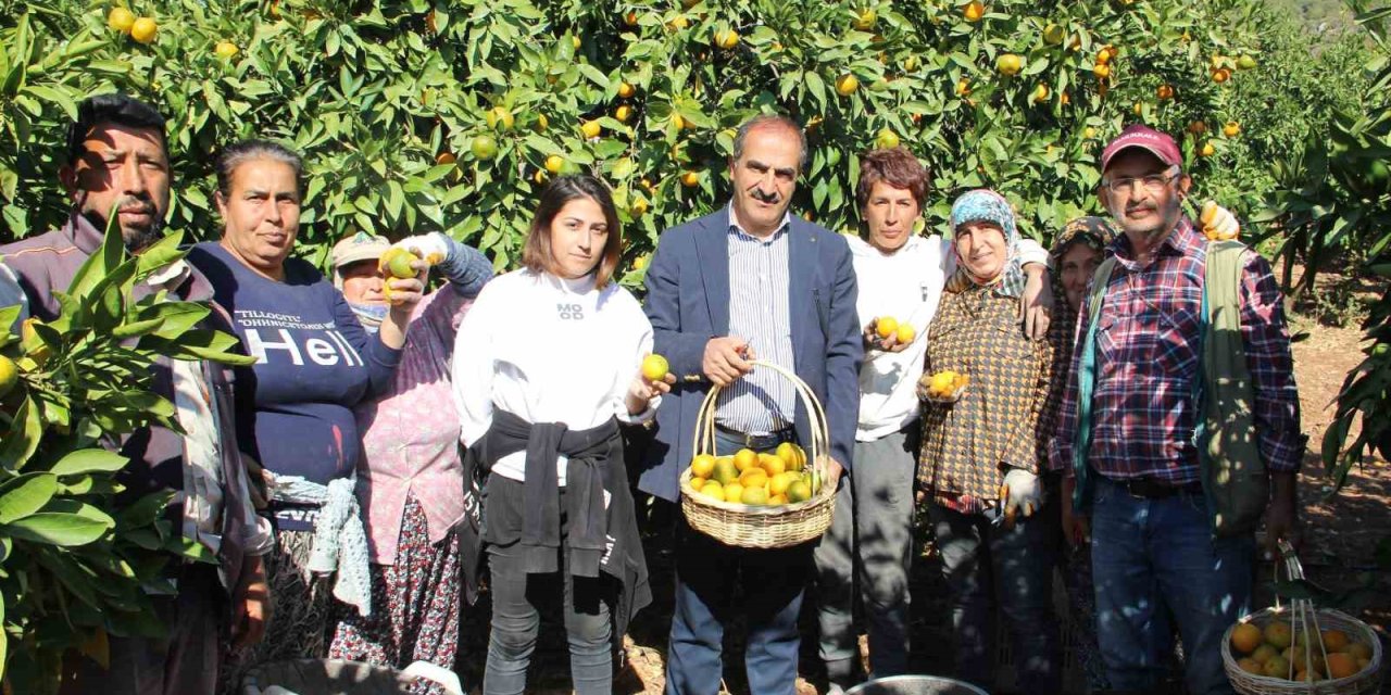 Satsuma mandalinanın ihracat yolculuğu 18 Ekim’de başlıyor