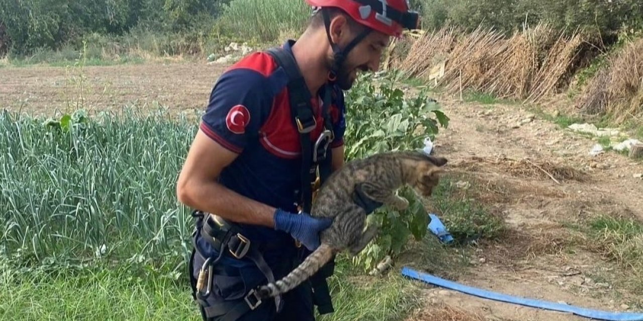 İzmir’de kuyuya düşen kediyi itfaiye kurtardı