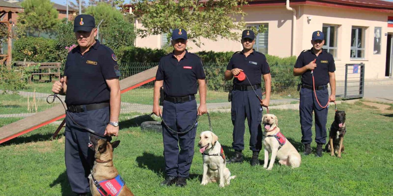 Vatandaşların can dostu, suçluların kabusu