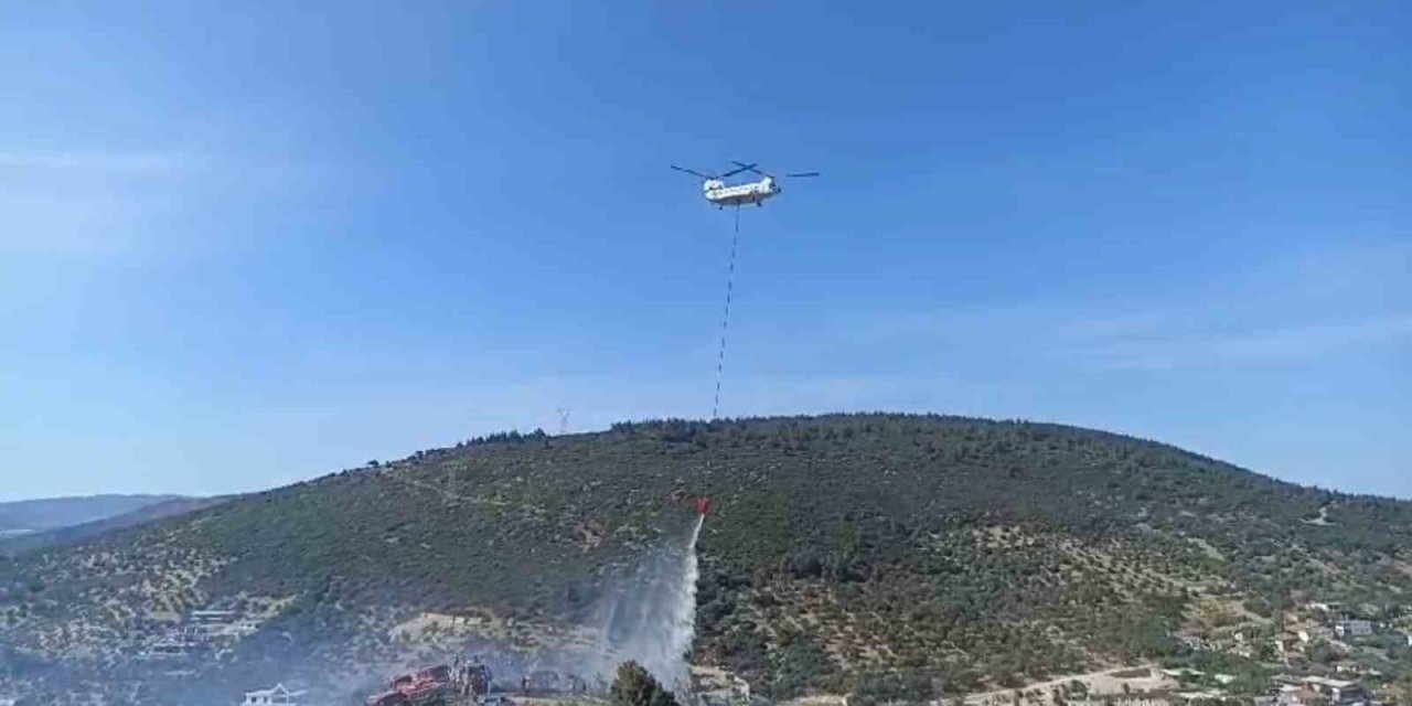 Foça’da bir depoda başlayan ve ormanlık alana sıçrayan yangın söndürüldü