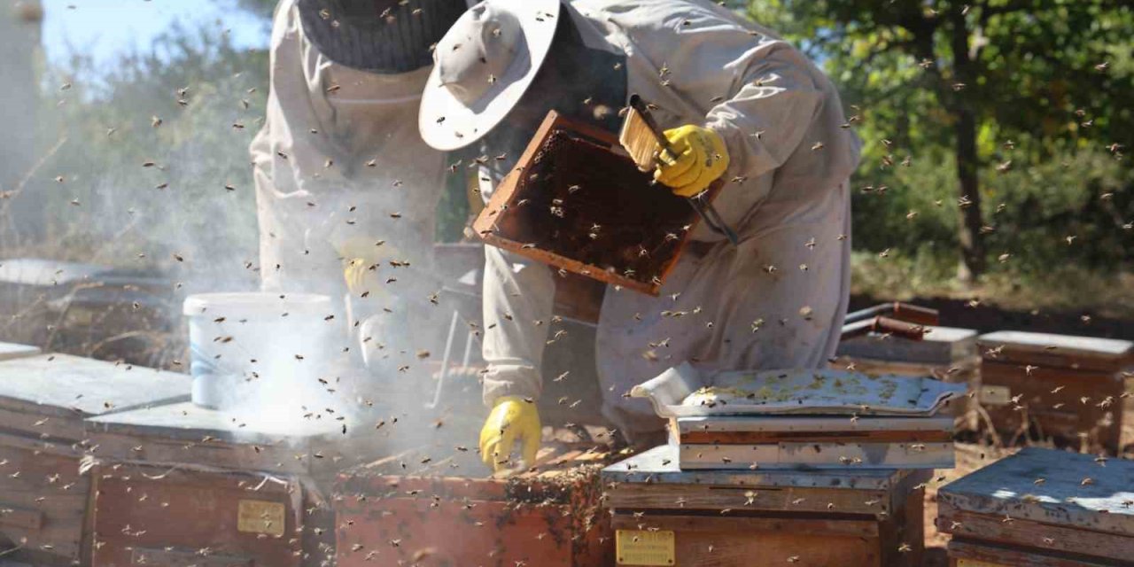 Arılı kovan desteklemelerinde son gün