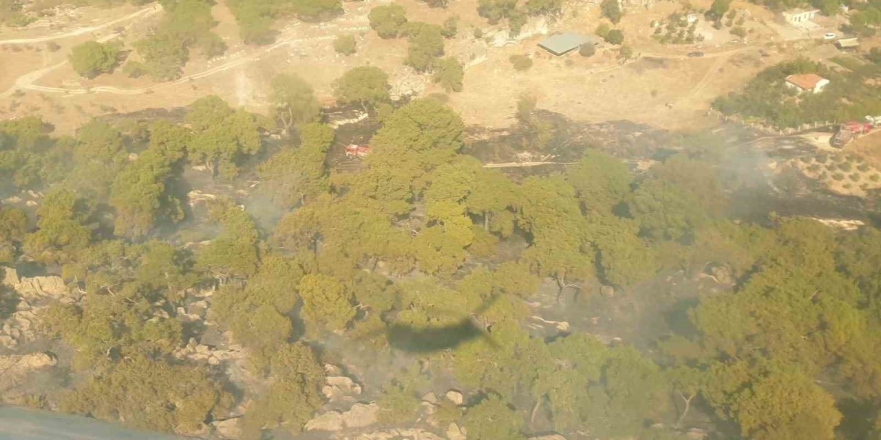 İzmir’de tarım arazisinde çıkıp ormana sıçrayan yangın söndürüldü