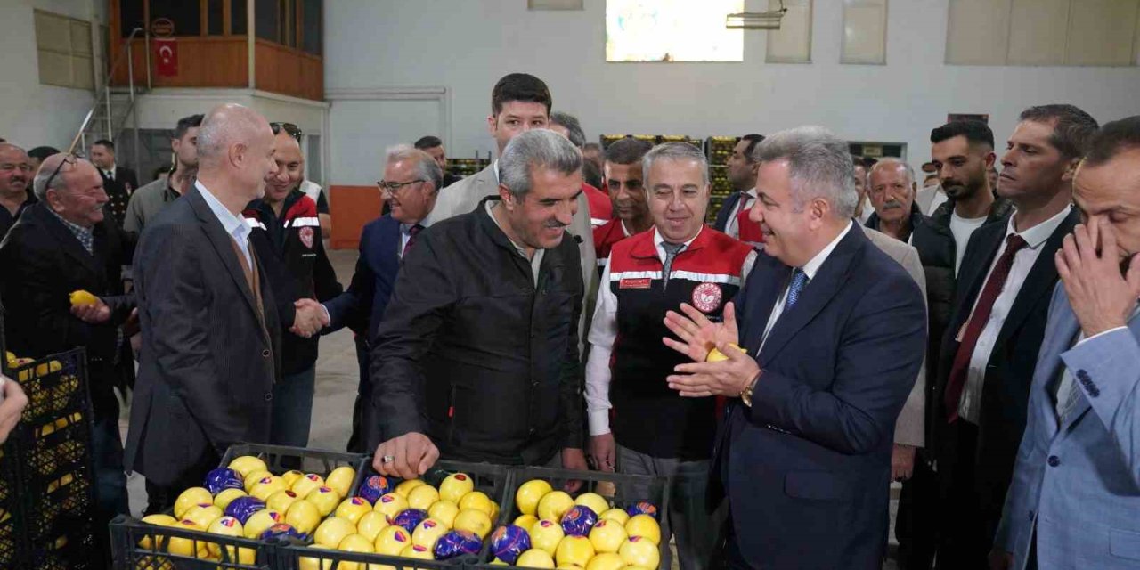 Satsuma mandalinası Balkanlar ve Avrupa yolunda