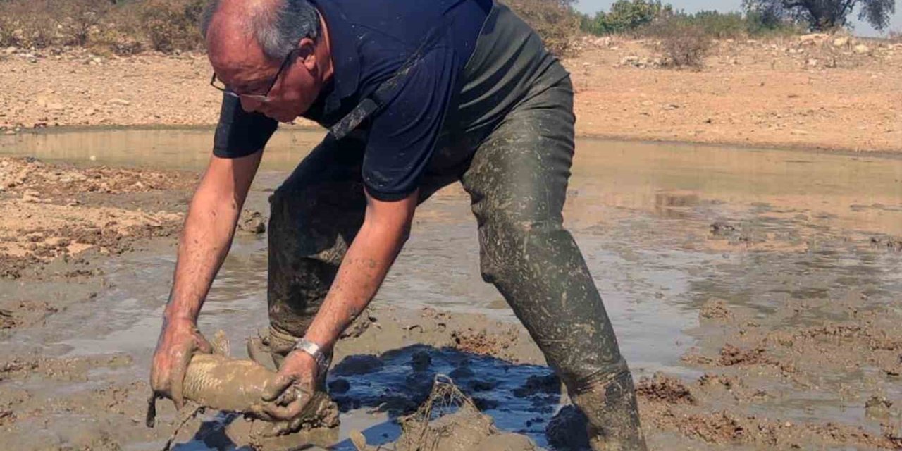 Kuruyan gölette balık kurtarma operasyonu