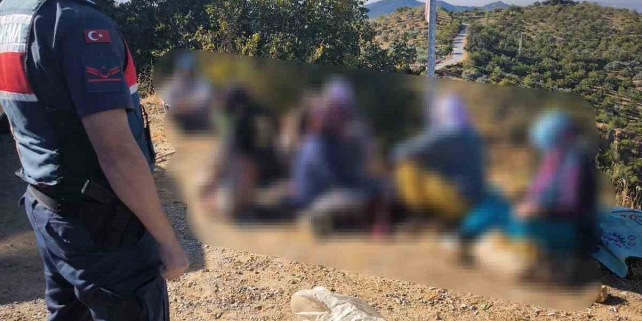 Aydın’da yaklaşık yarım ton incir çalan hırsızlar jandarmaya takıldı