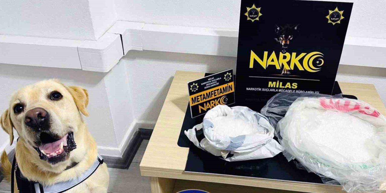 Narkotik köpeği ‘Çiko’ affetmiyor