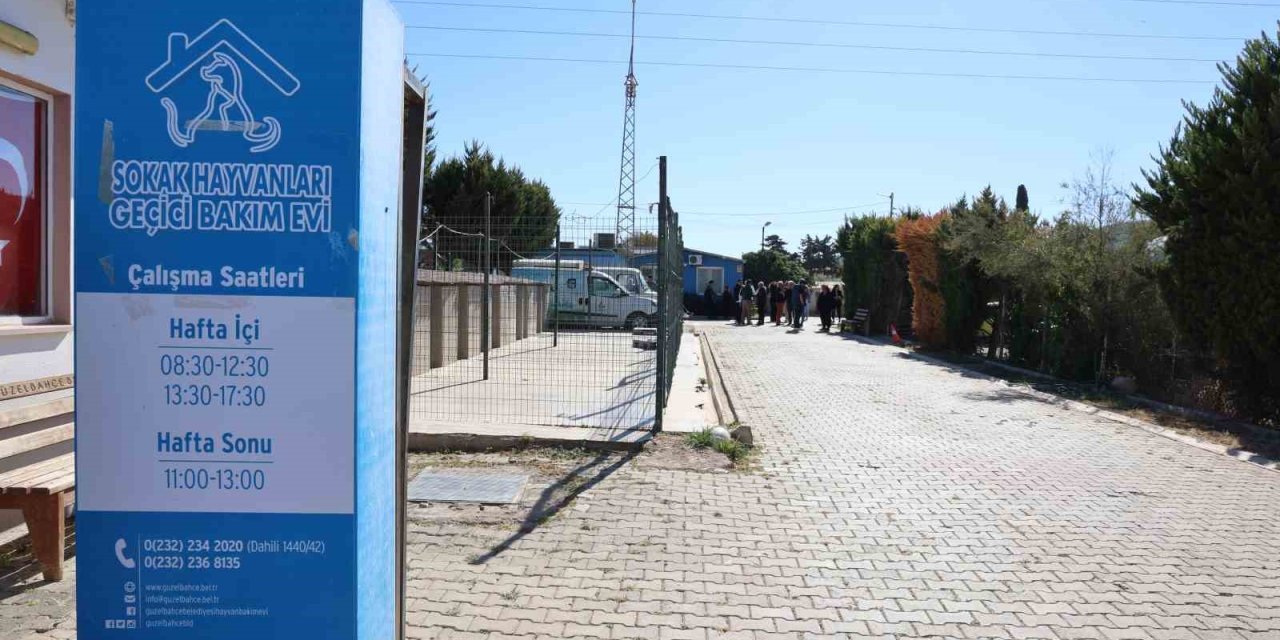 Barınakta "öldü" denilen köpeğin uyuduğu ortaya çıktı: "Aşağılıkça"