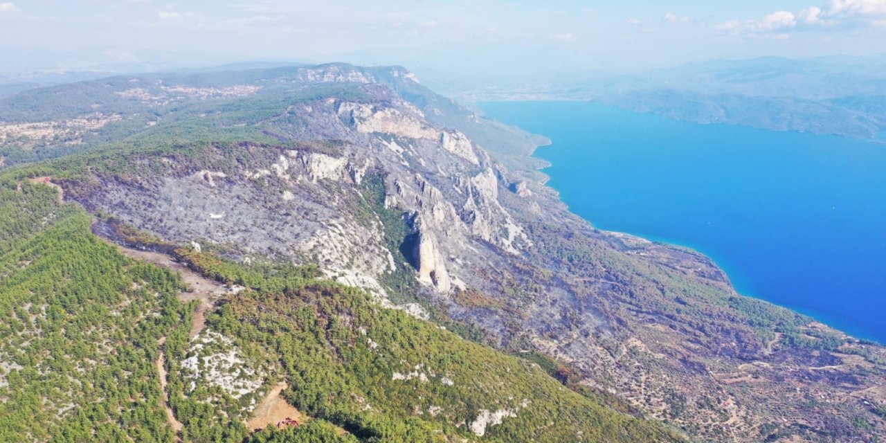 Menteşe’deki orman yangını kontrol altına alındı