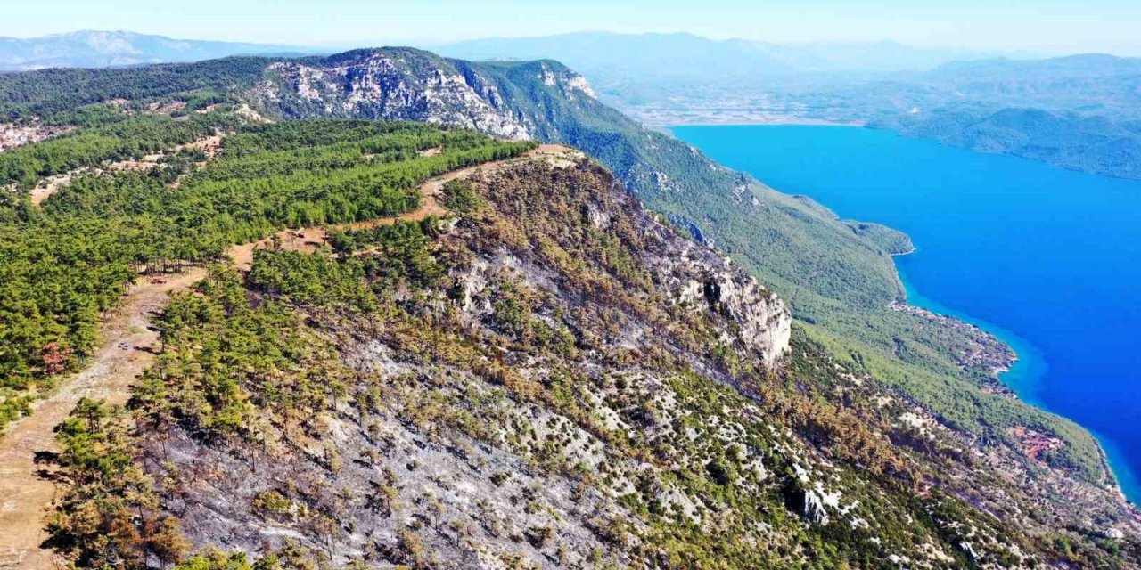 Gökova’da alevlerin önünü kesmek için 6,5 kilometre yangın şeridi açıldı