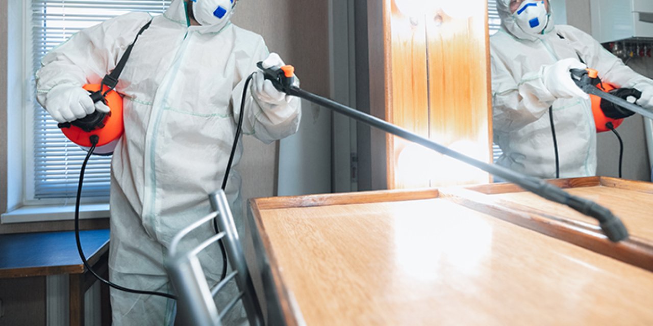 Profesyonel pire ilaçlama hizmetleri ile kalıcı çözümler