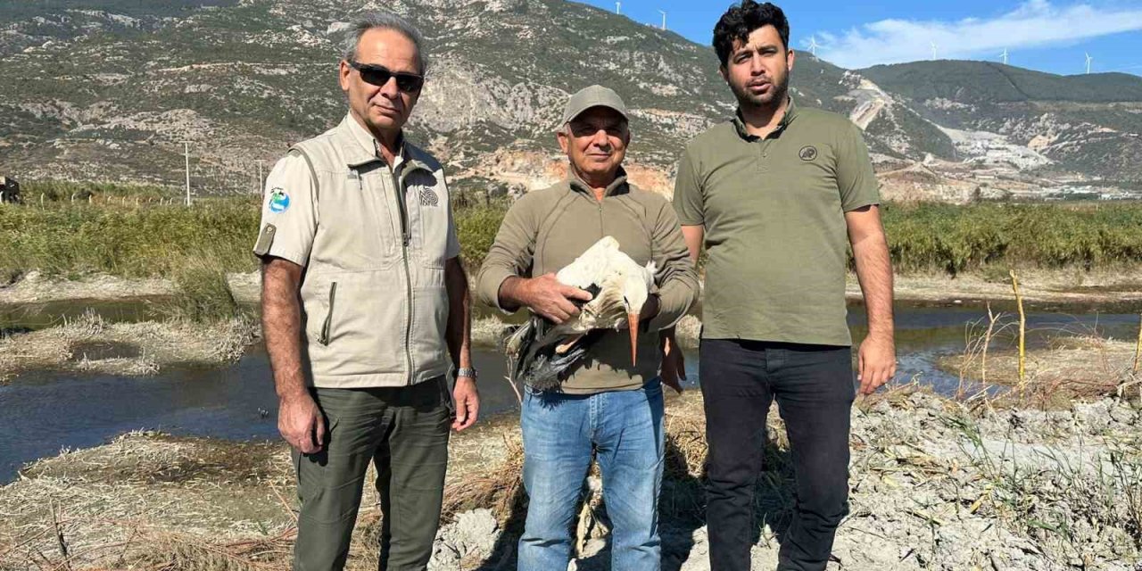 Sofya’dan Kuşadas’ına gelen yaralı leylek doğaya salındı