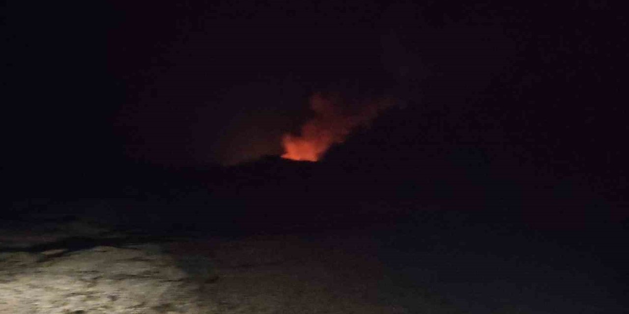Marmaris’te orman yangını