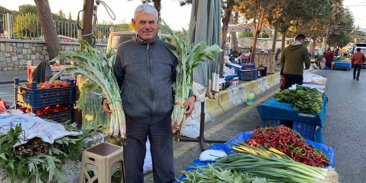 Karaciğer dostu enginarlar Aydın’daki pazar tezgahlarında yerini aldı
