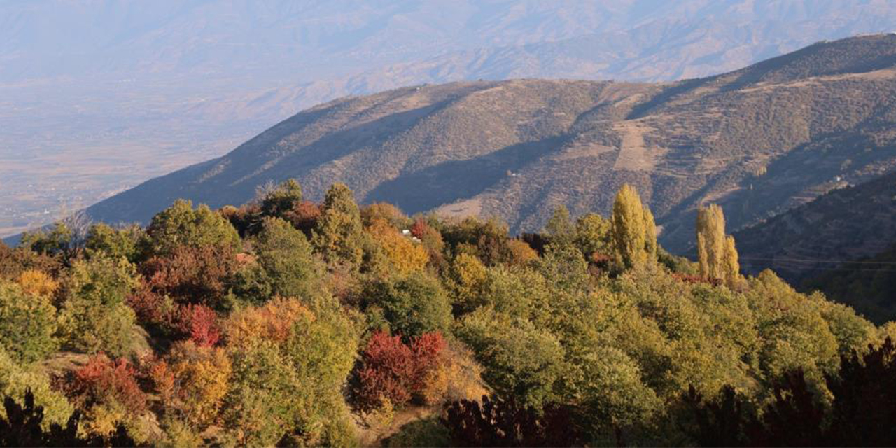 Aydın dağlarındaki sonbahar manzaraları mest ediyor