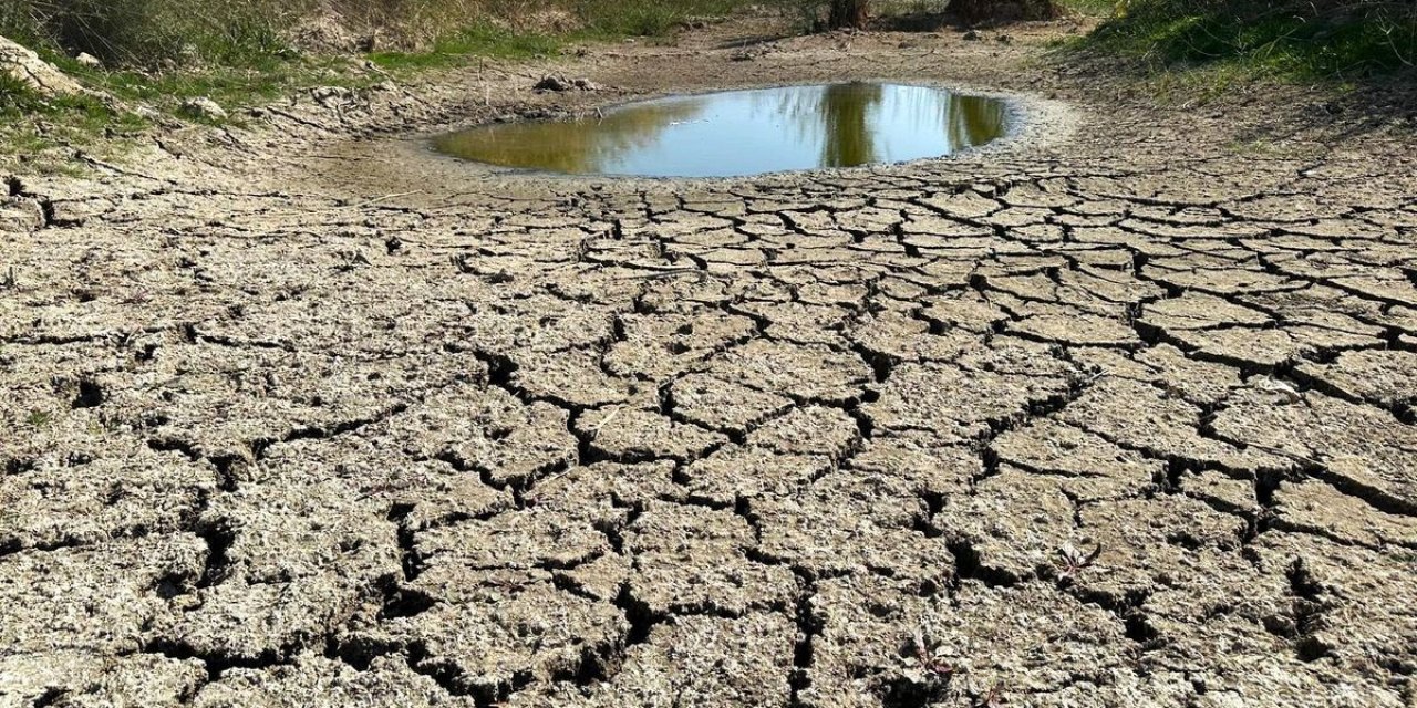 Azmaklar kurudu, sazlıklar yandı