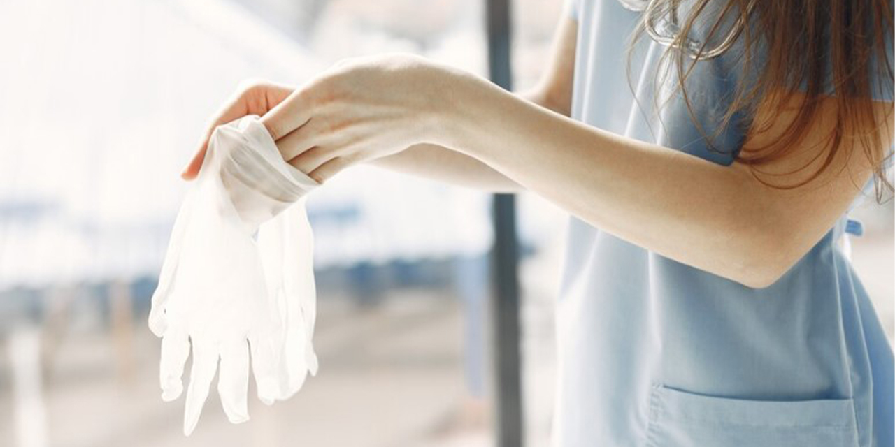 Hijyen Belgesi E-Devlet Sorgulama Süreci