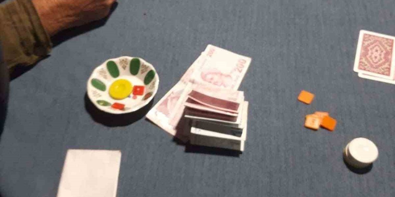Aydın jandarmasından huzur ve güven uygulaması: 3 bin 957 şahıs sorgulandı