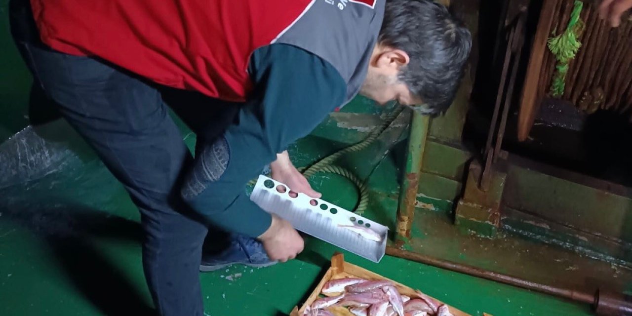 Muğla’da su ürünleri av yasağı denetimleri aralıksız devam ediyor