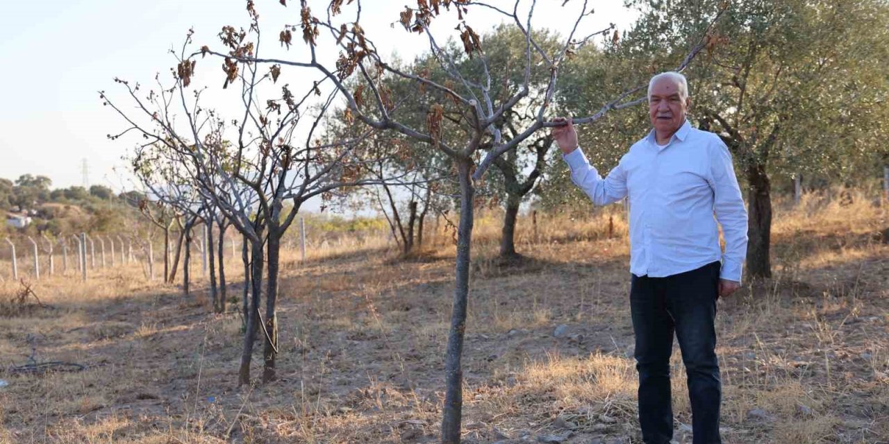 Ege’de kuraklık alarmı