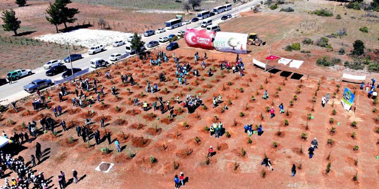 Muğla’nın 11 ilçesinde, 11 Kasım’da, saat 11.11’de binlerce fidan toprakla buluşacak