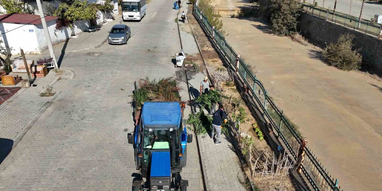 Nazilli Pınarbaşı yürüyüş yolu temizlendi