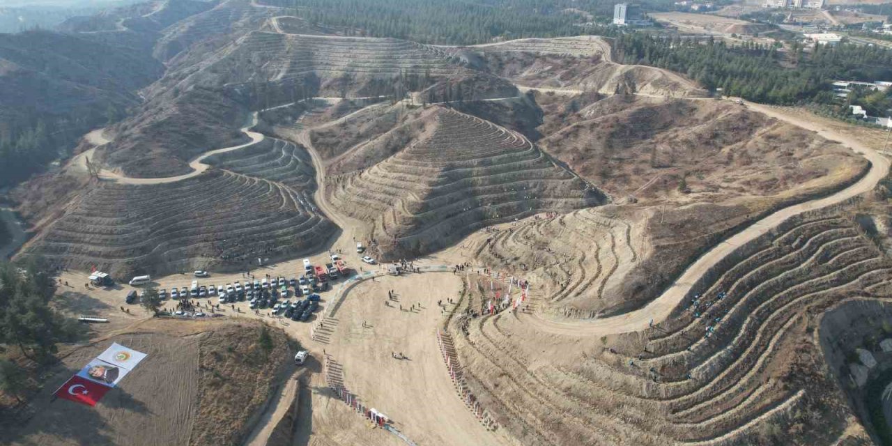 Denizli’de Milli Ağaçlandırma Gününde 5 bin 916 fidan toprakla buluştu